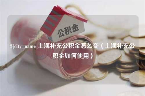 冷水江上海补充公积金怎么交（上海补充公积金如何使用）